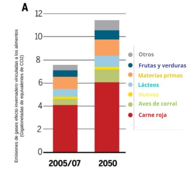 la figura muestra un gráfico de barras que relaciona la cantidad de gases efecto invernadero (GEIs) emitidos para cada tipo de producción alimentaria. Hay dos grandes barras, y en cada una están representadas, con distintos colores 7 tipos distintos de alimentos. Hay una barra, de menor altura, que corresponde a emisiones de GEIs registradas entre 2005 y 2007, mientras que la otra barra representa las emisiones proyectadas para el año 2050. Las carnes rojas y las aves de corral son las producciones que más emiten hoy y más potencial de emitir tienen. Las frutas y las verduras emiten mucho menos en la actualidad, y su proyección de emisión a futuro también es más pequeña. Redibujado de Godfray y col. (2018), revista Science.