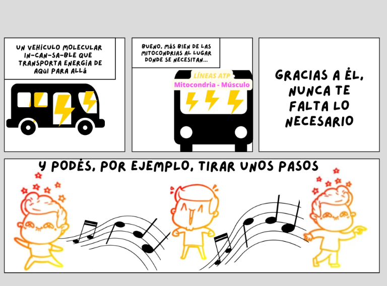 las reacciones catabólicas resultan en la síntesis de ATP, un transportador energético que, a la manera de un colectivo, lleva la energía desde donde se libera hacia donde es requerida.