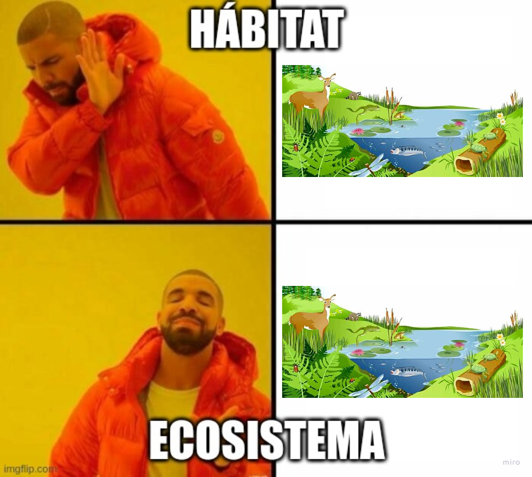 meme del cantante Drake sobre cuándo corresponde decir ecosistema.