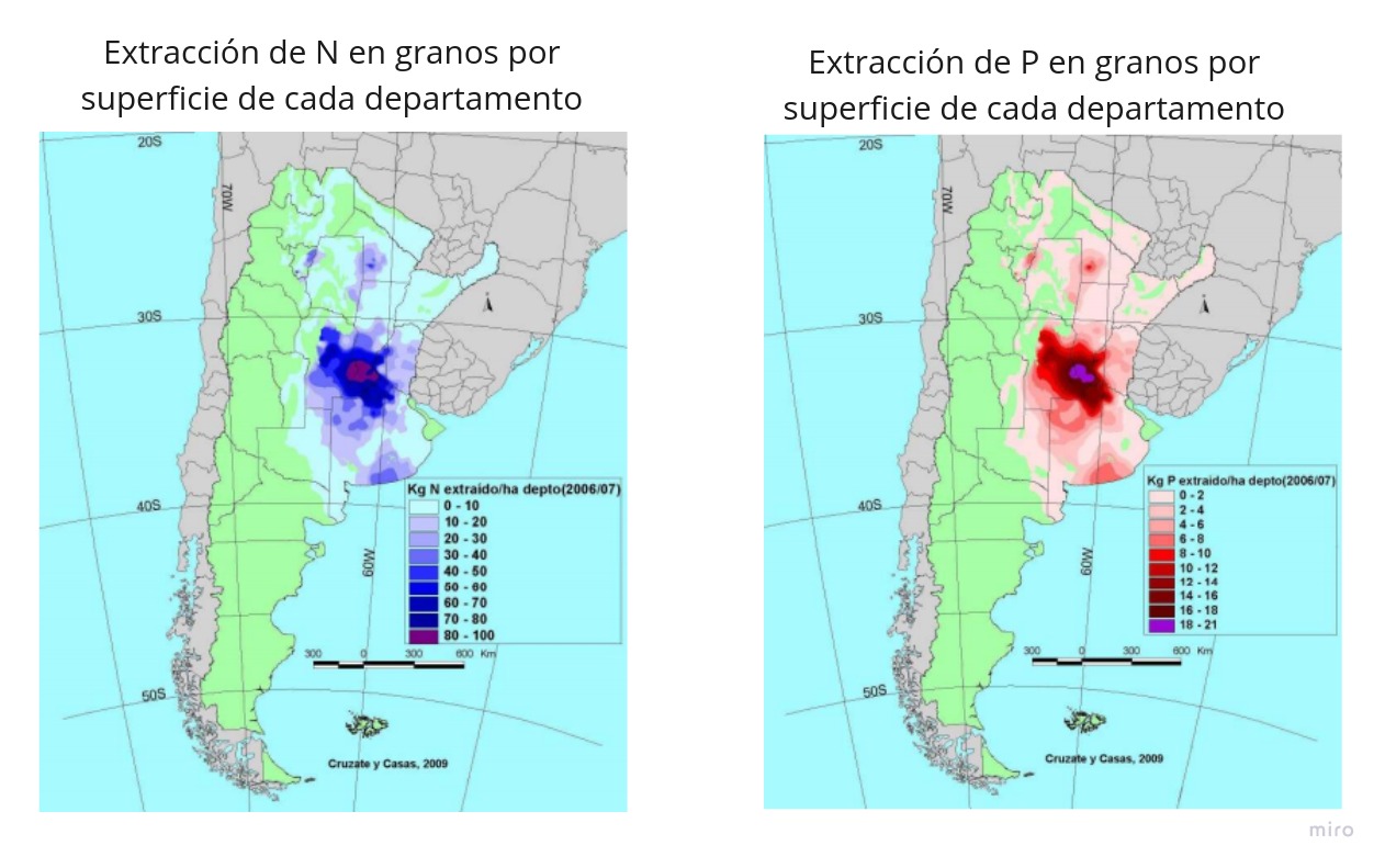 se presentan dos mapas que demuestran la extracción nutrientes en granos en Argentina.Tomado de Cruzate y Casas, 2009.